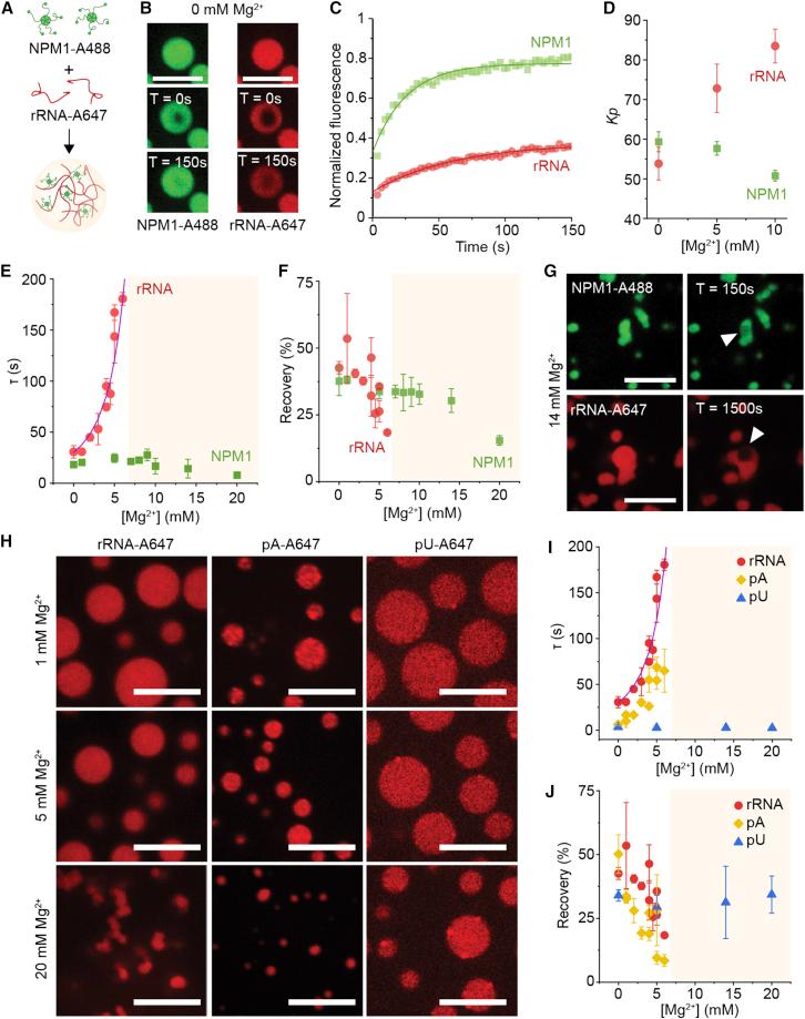 https://cdn.ncbi.nlm.nih.gov/pmc/blobs/2273/9674983/bf87539e4b15/gr1.jpg