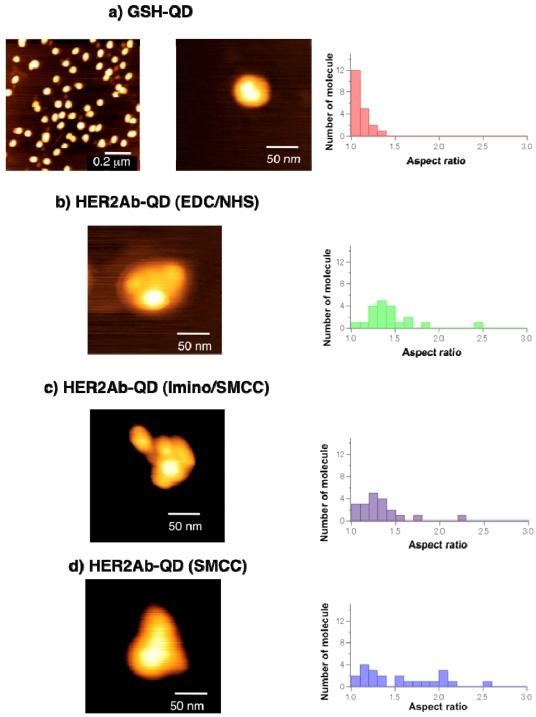https://cdn.ncbi.nlm.nih.gov/pmc/blobs/2274/3260644/c72df058512f/sensors-09-09332f8.jpg