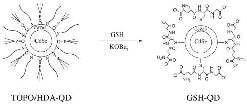 https://cdn.ncbi.nlm.nih.gov/pmc/blobs/2274/3260644/cbc541ff9fc2/sensors-09-09332f1.jpg