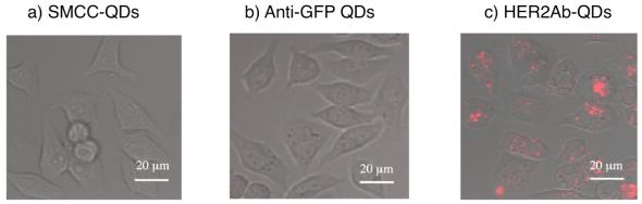 https://cdn.ncbi.nlm.nih.gov/pmc/blobs/2274/3260644/e172e402aedb/sensors-09-09332f11.jpg