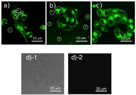 https://cdn.ncbi.nlm.nih.gov/pmc/blobs/2274/3260644/f651f1c73112/sensors-09-09332f9.jpg