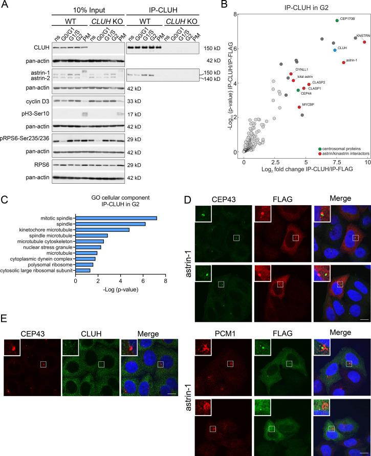 https://cdn.ncbi.nlm.nih.gov/pmc/blobs/2274/9135405/0ce888d57d87/elife-74552-fig3.jpg
