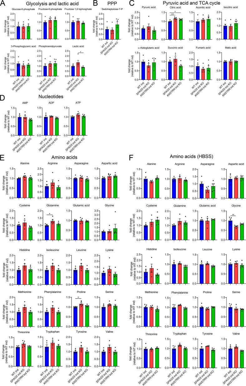 https://cdn.ncbi.nlm.nih.gov/pmc/blobs/2274/9135405/37a504143b78/elife-74552-fig5-figsupp2.jpg