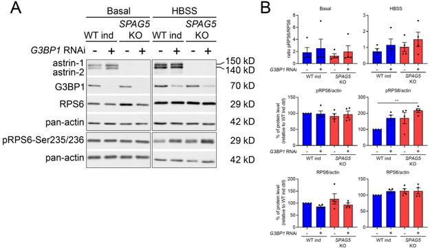 https://cdn.ncbi.nlm.nih.gov/pmc/blobs/2274/9135405/554e4acaf41e/elife-74552-sa2-fig2.jpg
