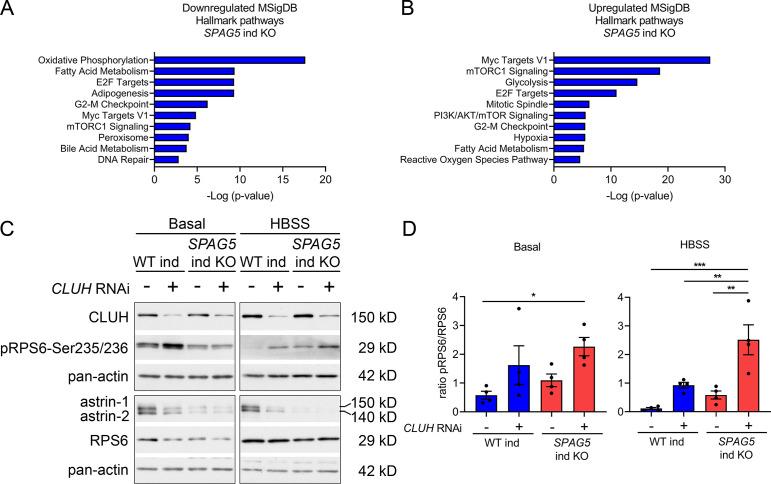 https://cdn.ncbi.nlm.nih.gov/pmc/blobs/2274/9135405/5fde792da77c/elife-74552-fig5-figsupp1.jpg