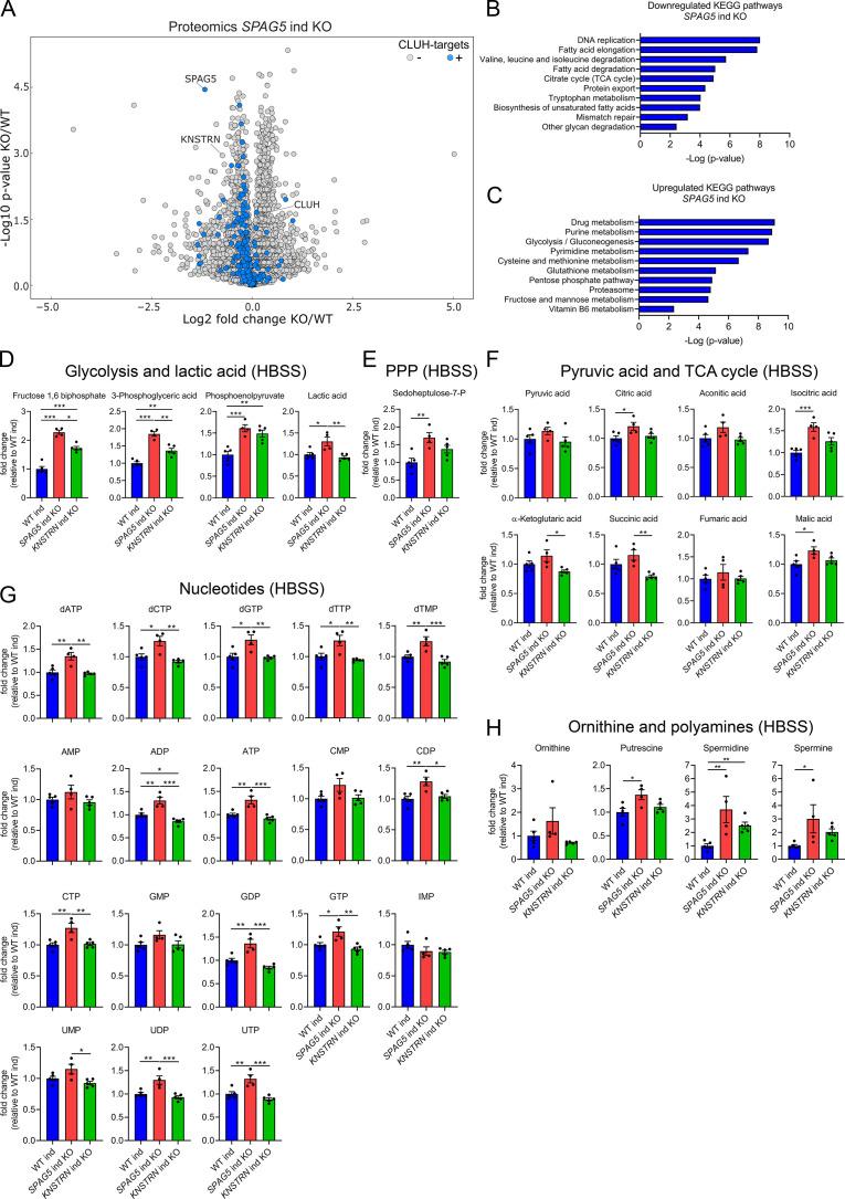https://cdn.ncbi.nlm.nih.gov/pmc/blobs/2274/9135405/c9ef59a8d3b5/elife-74552-fig5.jpg