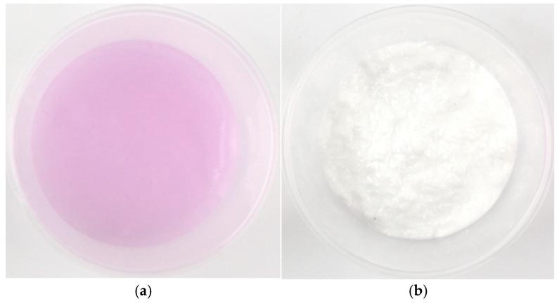 https://cdn.ncbi.nlm.nih.gov/pmc/blobs/2276/11764834/e8dd5df8ab93/gels-11-00078-g003.jpg