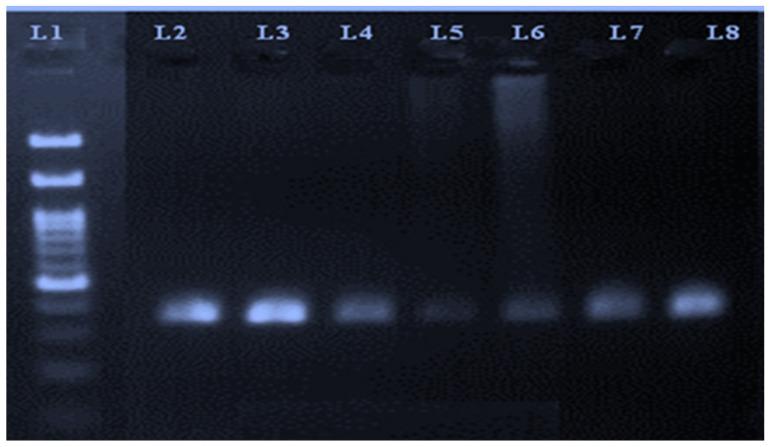 https://cdn.ncbi.nlm.nih.gov/pmc/blobs/2276/8944579/0581bd579257/animals-12-00693-g001.jpg