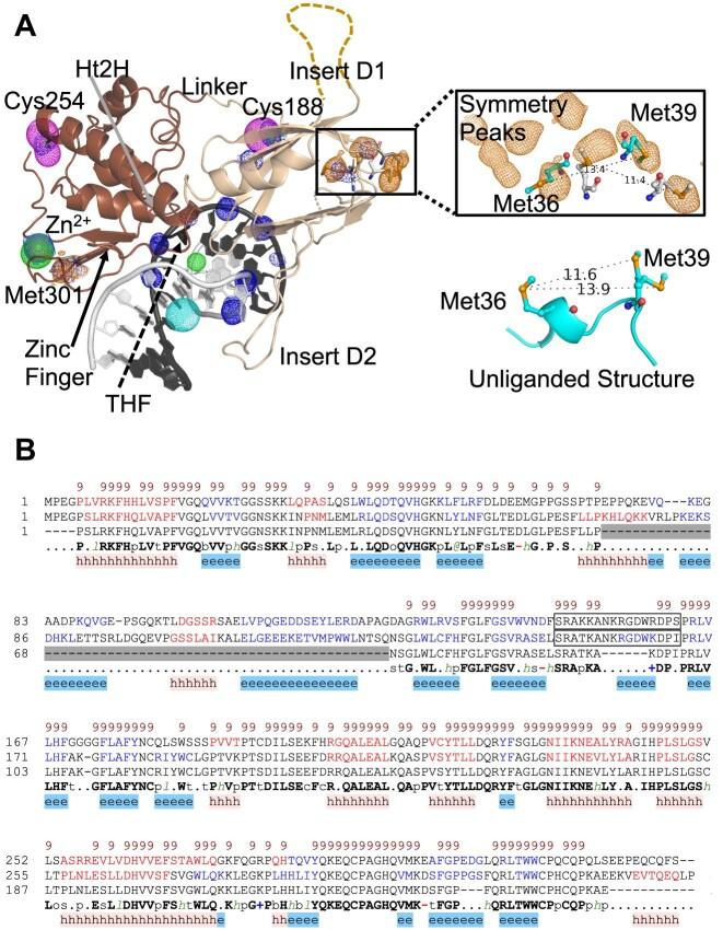 https://cdn.ncbi.nlm.nih.gov/pmc/blobs/2277/10711445/9216aaa61be5/gkad1075fig1.jpg