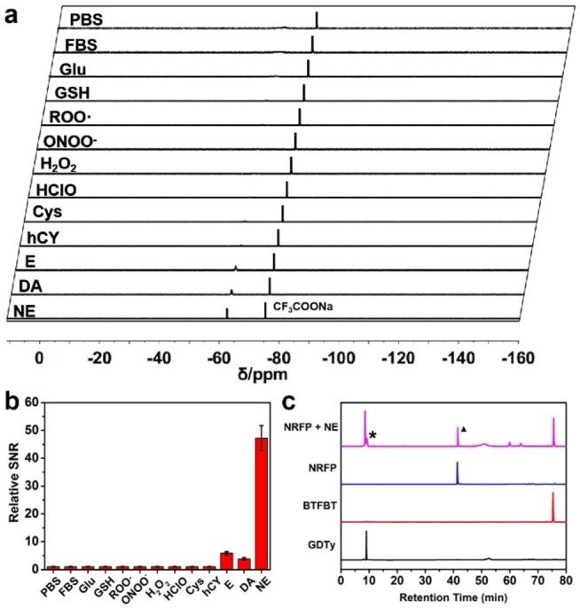 https://cdn.ncbi.nlm.nih.gov/pmc/blobs/2277/9278097/4d39d1af9063/OPEN-11-e202200110-g001.jpg