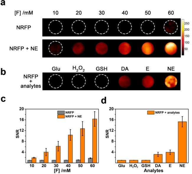 https://cdn.ncbi.nlm.nih.gov/pmc/blobs/2277/9278097/ae2e05ebe07c/OPEN-11-e202200110-g003.jpg