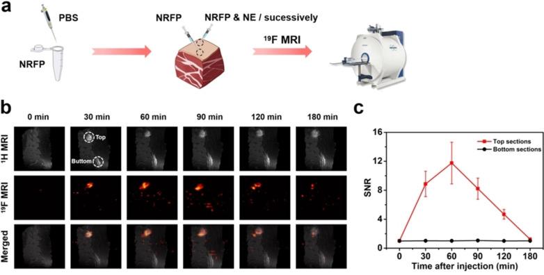 https://cdn.ncbi.nlm.nih.gov/pmc/blobs/2277/9278097/bc4ab0accc3f/OPEN-11-e202200110-g004.jpg