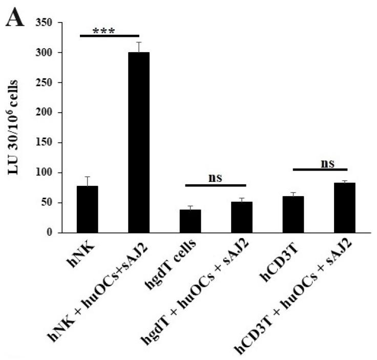 https://cdn.ncbi.nlm.nih.gov/pmc/blobs/2279/10854567/723ee4f63360/cells-13-00213-g003a.jpg
