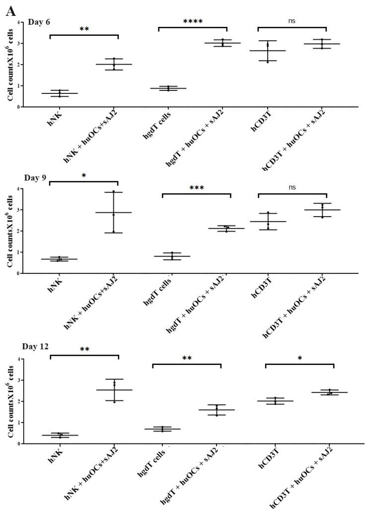 https://cdn.ncbi.nlm.nih.gov/pmc/blobs/2279/10854567/b560985498db/cells-13-00213-g002a.jpg