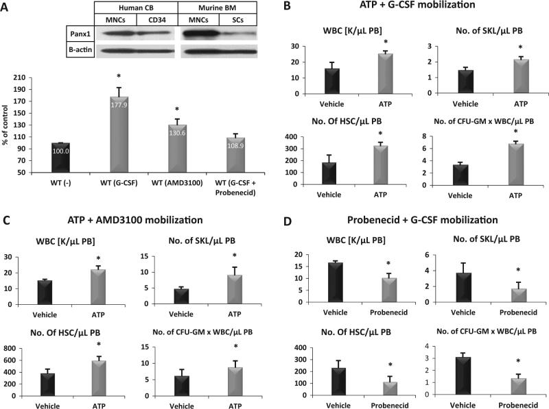 https://cdn.ncbi.nlm.nih.gov/pmc/blobs/227a/6127086/e9b35a65ea22/41375_2018_122_Fig1_HTML.jpg