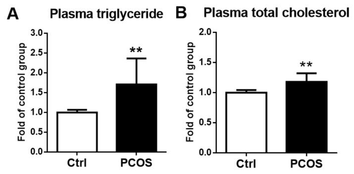 https://cdn.ncbi.nlm.nih.gov/pmc/blobs/227a/8745167/6f43366b06db/ijms-23-00134-g006.jpg