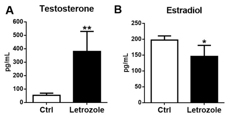 https://cdn.ncbi.nlm.nih.gov/pmc/blobs/227a/8745167/7805187381fc/ijms-23-00134-g002.jpg