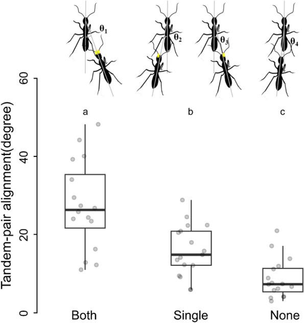 https://cdn.ncbi.nlm.nih.gov/pmc/blobs/227b/11177493/5eeeec5f9b05/12862_2024_2267_Fig4_HTML.jpg
