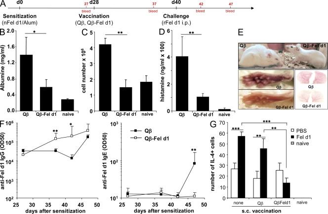 https://cdn.ncbi.nlm.nih.gov/pmc/blobs/227d/2737174/2033b94d29ee/JEM_20090199_RGB_Fig4.jpg