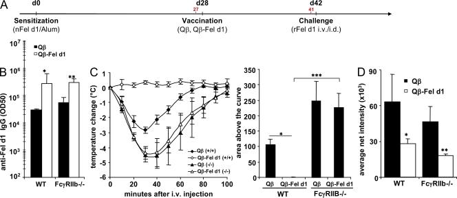 https://cdn.ncbi.nlm.nih.gov/pmc/blobs/227d/2737174/22304dfdea2d/JEM_20090199_RGB_Fig7.jpg