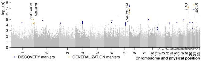 https://cdn.ncbi.nlm.nih.gov/pmc/blobs/2280/2858696/2829acdea86c/pgen.1000916.g002.jpg