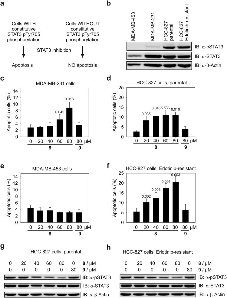 https://cdn.ncbi.nlm.nih.gov/pmc/blobs/2280/5727211/74619ed21794/41598_2017_17600_Fig4_HTML.jpg