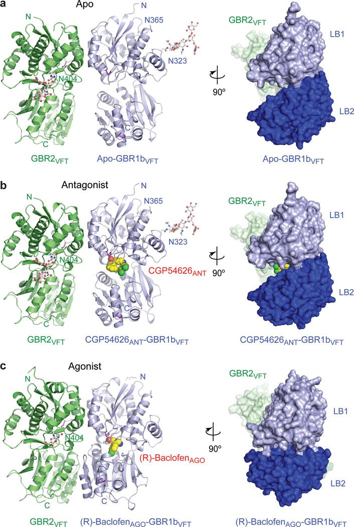 https://cdn.ncbi.nlm.nih.gov/pmc/blobs/2282/3865065/a41d90904653/nihms528775f1.jpg