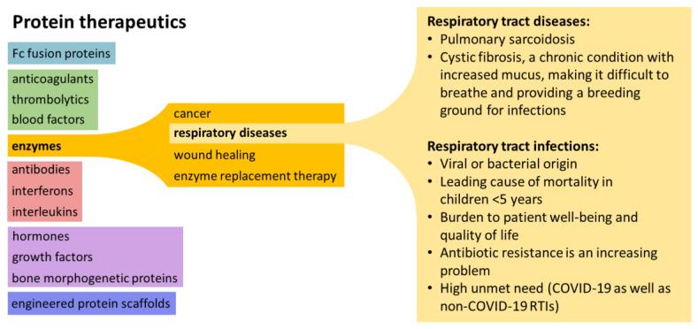 https://cdn.ncbi.nlm.nih.gov/pmc/blobs/2282/9220205/a80b7b3773ee/biomedicines-10-01440-g001.jpg