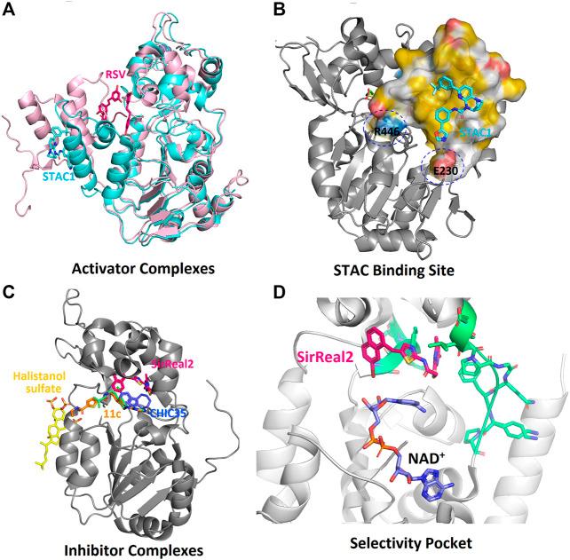 https://cdn.ncbi.nlm.nih.gov/pmc/blobs/2284/7883599/d335b746c242/fphar-11-585821-g007.jpg