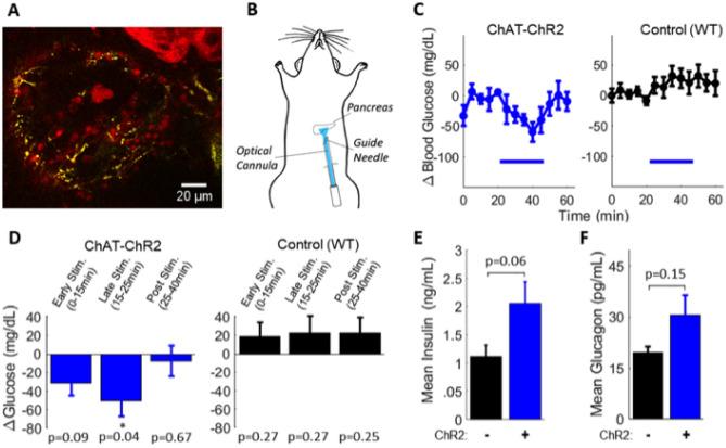 https://cdn.ncbi.nlm.nih.gov/pmc/blobs/2285/7878862/b6d40073dab7/41598_2021_83361_Fig1_HTML.jpg