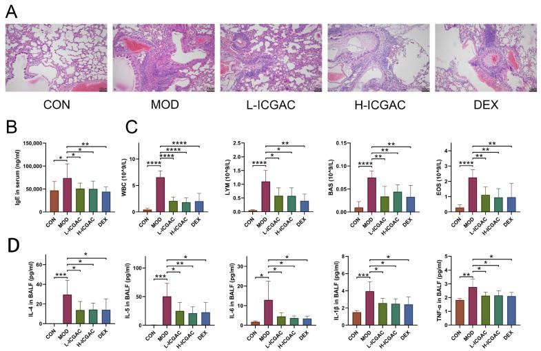 https://cdn.ncbi.nlm.nih.gov/pmc/blobs/2288/12112207/981b99f1bca4/ijms-26-048640-g001.jpg