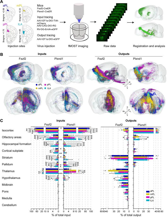 https://cdn.ncbi.nlm.nih.gov/pmc/blobs/228b/11057135/4484a1d3349a/12915_2024_1880_Fig1_HTML.jpg