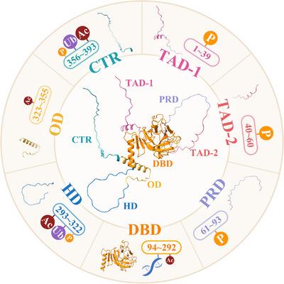 https://cdn.ncbi.nlm.nih.gov/pmc/blobs/228c/10225743/2221dc537917/MCO2-4-e288-g007.jpg