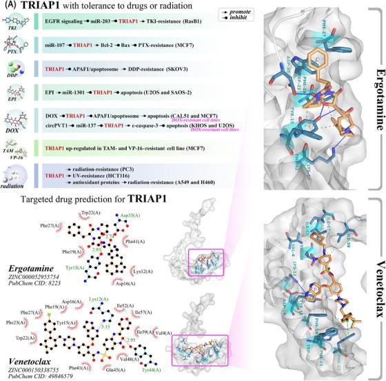 https://cdn.ncbi.nlm.nih.gov/pmc/blobs/228c/10225743/85a0d524f8cd/MCO2-4-e288-g001.jpg
