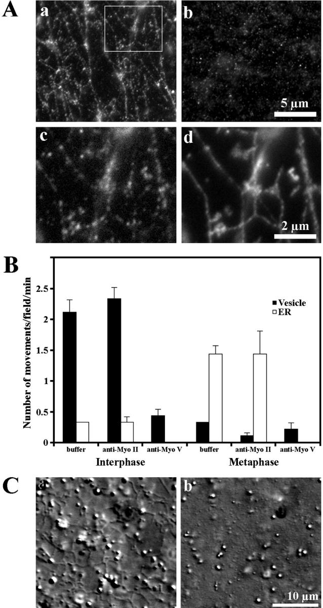 https://cdn.ncbi.nlm.nih.gov/pmc/blobs/228d/2173107/122467e94ca9/200204065f4.jpg