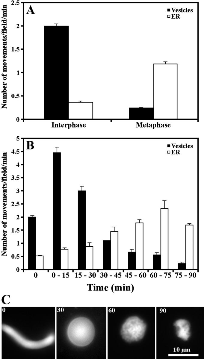 https://cdn.ncbi.nlm.nih.gov/pmc/blobs/228d/2173107/5e23f23cfee0/200204065f2.jpg