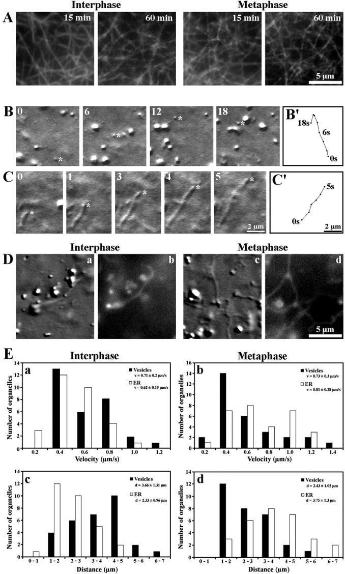 https://cdn.ncbi.nlm.nih.gov/pmc/blobs/228d/2173107/cf13875bf901/200204065f1.jpg