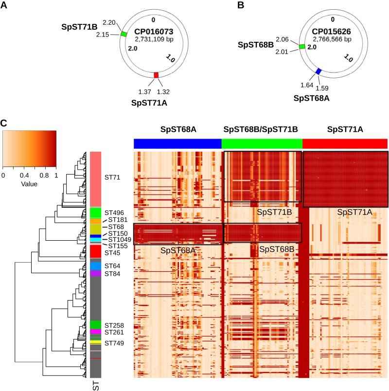 https://cdn.ncbi.nlm.nih.gov/pmc/blobs/228f/7029219/c33b6f3a52ec/mSystems.00684-19-f0006.jpg