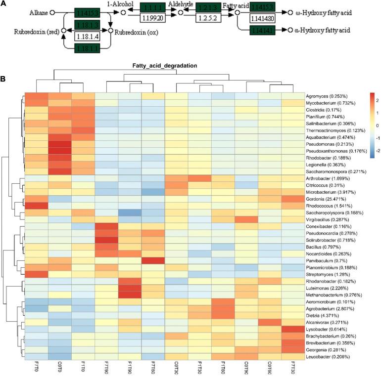 https://cdn.ncbi.nlm.nih.gov/pmc/blobs/2291/8221241/613bf3659e71/fmicb-12-647373-g010.jpg