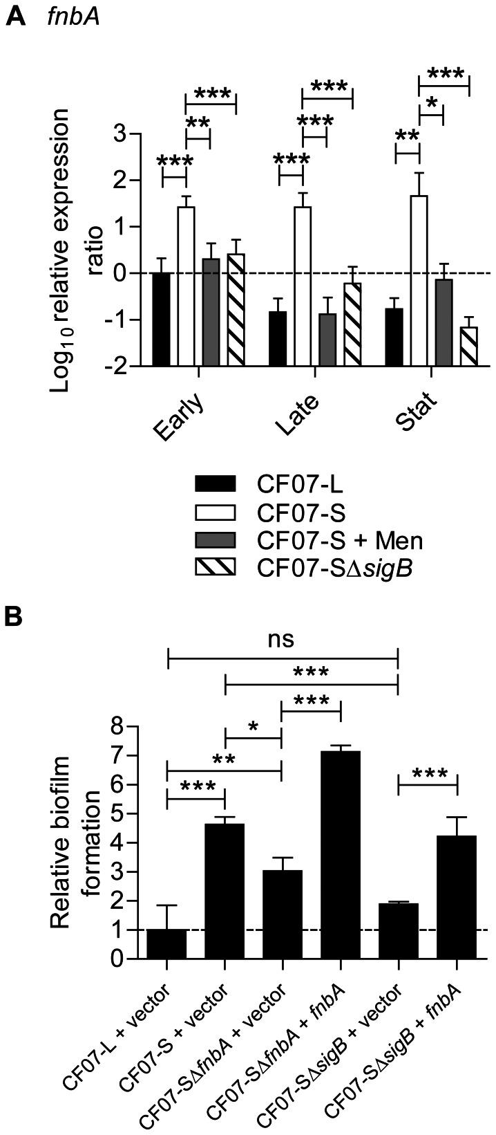 https://cdn.ncbi.nlm.nih.gov/pmc/blobs/2292/3660380/3fcd1f439518/pone.0065018.g005.jpg