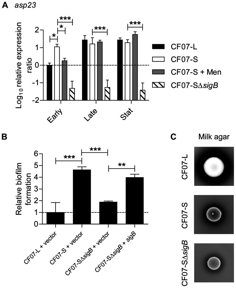 https://cdn.ncbi.nlm.nih.gov/pmc/blobs/2292/3660380/4b77ec693046/pone.0065018.g003.jpg