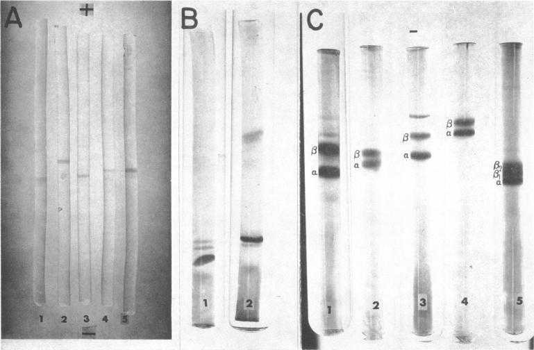https://cdn.ncbi.nlm.nih.gov/pmc/blobs/2292/389203/fabd0809ea6c/pnas00082-0021-a.jpg