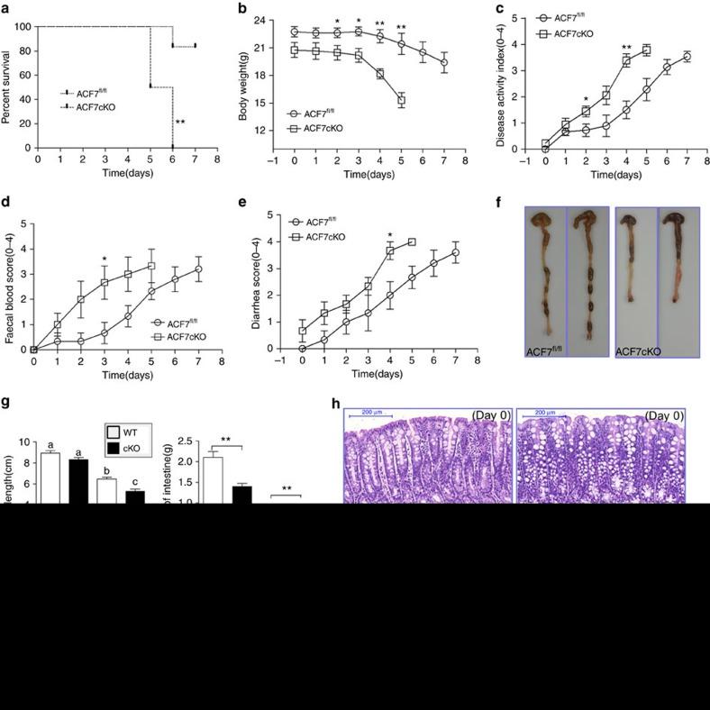 https://cdn.ncbi.nlm.nih.gov/pmc/blobs/2292/5458510/3da76272f972/ncomms15375-f5.jpg