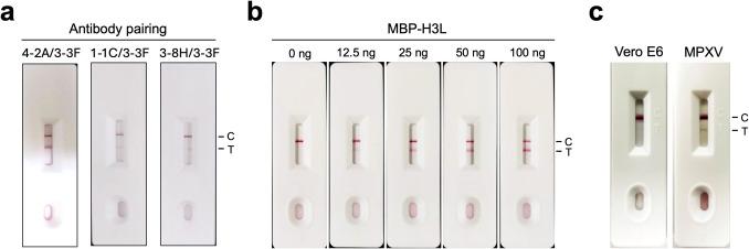 https://cdn.ncbi.nlm.nih.gov/pmc/blobs/2295/11965195/532eb1de5565/253_2025_13466_Fig5_HTML.jpg