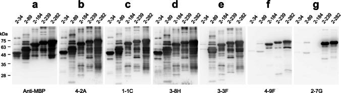 https://cdn.ncbi.nlm.nih.gov/pmc/blobs/2295/11965195/be19dfbb0bd2/253_2025_13466_Fig3_HTML.jpg