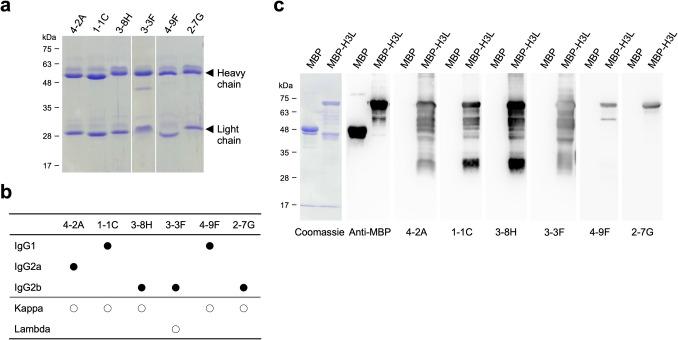 https://cdn.ncbi.nlm.nih.gov/pmc/blobs/2295/11965195/fff0d40c3dbf/253_2025_13466_Fig2_HTML.jpg