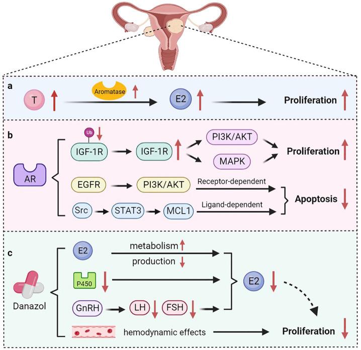 https://cdn.ncbi.nlm.nih.gov/pmc/blobs/2296/9687413/c7761142cc7f/biomolecules-12-01624-g002.jpg