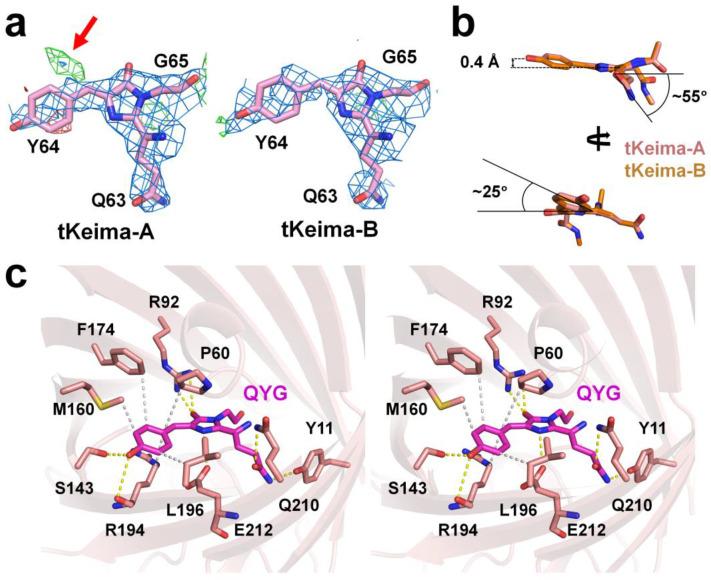 https://cdn.ncbi.nlm.nih.gov/pmc/blobs/22a3/11173989/86b0311bc59a/molecules-29-02579-g003.jpg