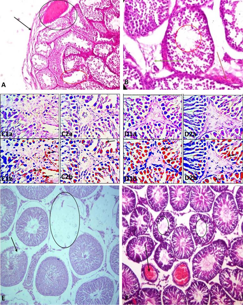 https://cdn.ncbi.nlm.nih.gov/pmc/blobs/22a4/10375764/007103f5e0af/12958_2023_1098_Fig4_HTML.jpg