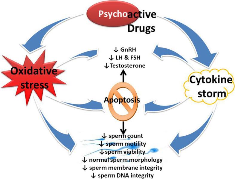 https://cdn.ncbi.nlm.nih.gov/pmc/blobs/22a4/10375764/370c310f0ef4/12958_2023_1098_Fig3_HTML.jpg